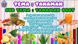 Video pembelajaran untuk anak PAUD-TK. Tema: Tanaman, Sub Tema: Tanaman Obat ( TOGA )