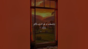 سورة آل عمران ( الشيخ ماهر المعيقلي)❤️