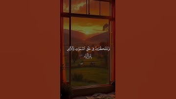 سورة آل عمران ( الشيخ ماهر المعيقلي)❤️
