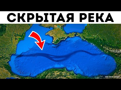 YouTube видео