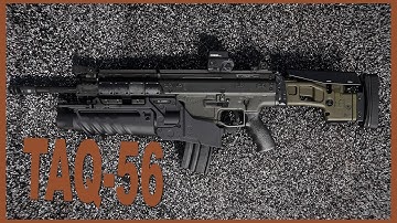 FALLOUT 4 MOD I MW2022 - Taq-56