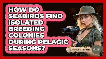 How Do Seabirds Find Isolated Breeding Colonies During Pelagic Seasons? - Bird Watching Diaries