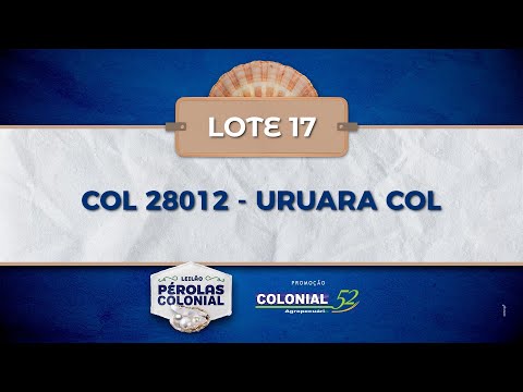 LOTE 17 COL 28012