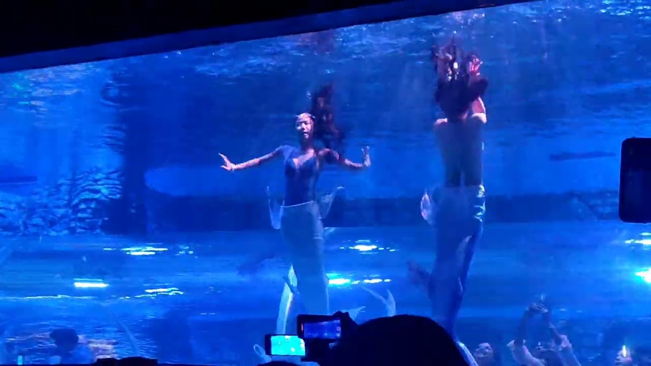 Mermaid 🧜 show, aquarium Paradise, Bangalore 
