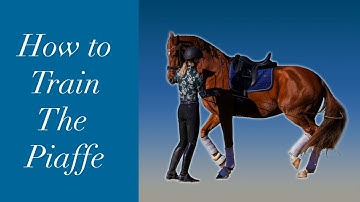 How to Teach your Horse to Piaffe
