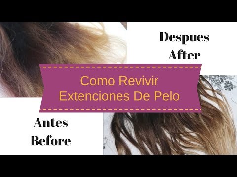 Video: Cómo Recuperar Una Extensión