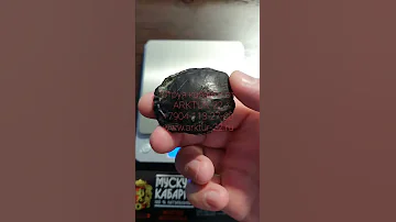 Струя кабарги цена в России