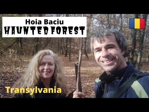 Most Haunted Forest in the World? Hoia Baciu - Romania's Time Portal!