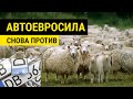 АвтоЕвроСила водит козу, Ярошевич пресмыкается