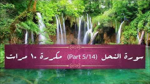 Surah An-Nahl (part 5/14) repeated 10 times - سورة النحل (part 5/14) مكررة 10 مرات