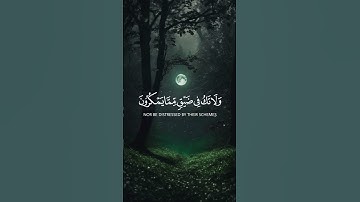 ارح قلبك بالاستماع الي القرآن الكريم ❤️  #القرآن_الكريم   #اكسبلور #دويتو #cupcut