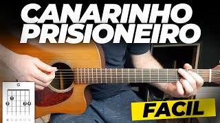 Canarinho Prisioneiro - Chico Rey e Paraná - Como Tocar no Violão
