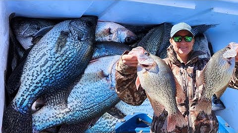 Dock Shooting For Crappie Tutorial!!!