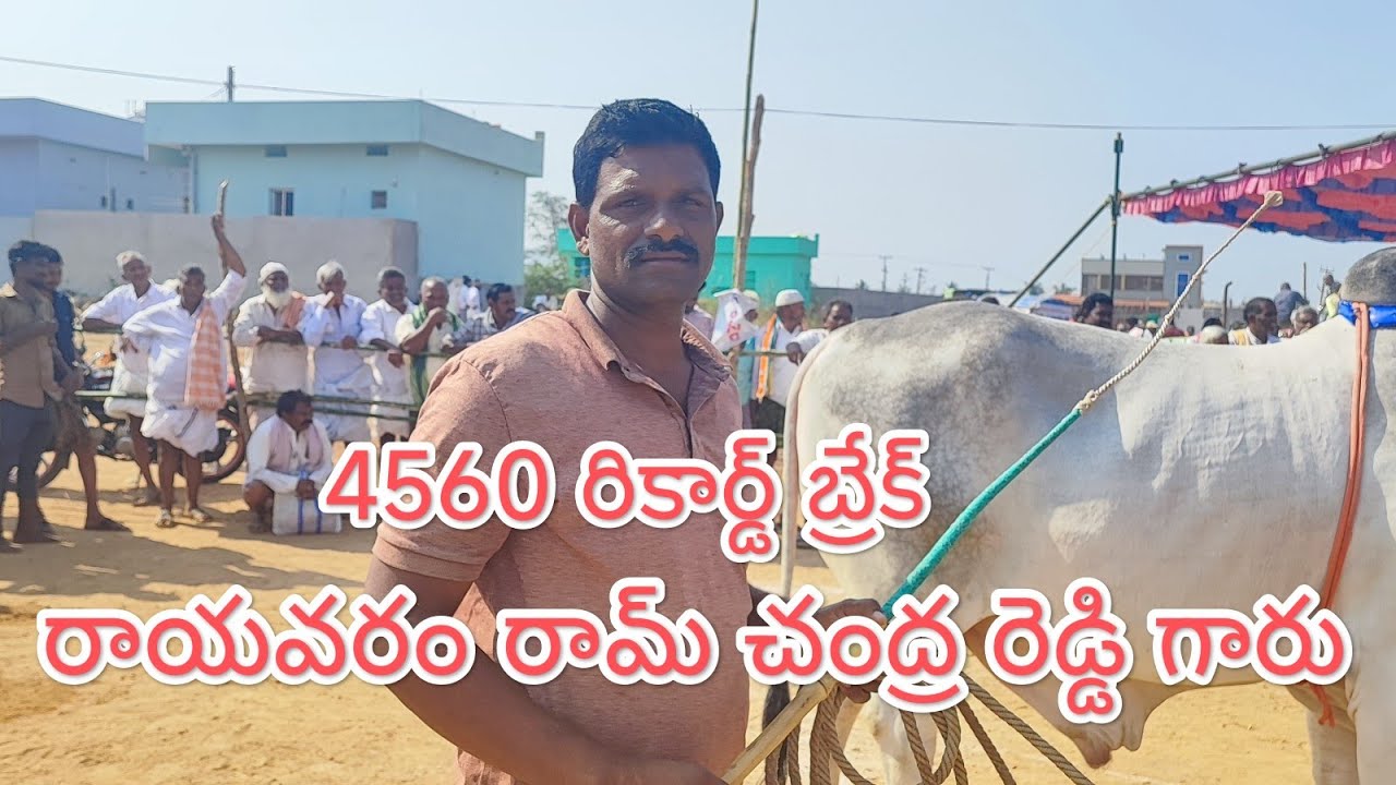 అహోబిలం  న్యూ కేటగిరి విభాగంలో 2వ జత M అక్షరా రెడ్డి గారు (దేశముదురు గబ్బర్ సింగ్)