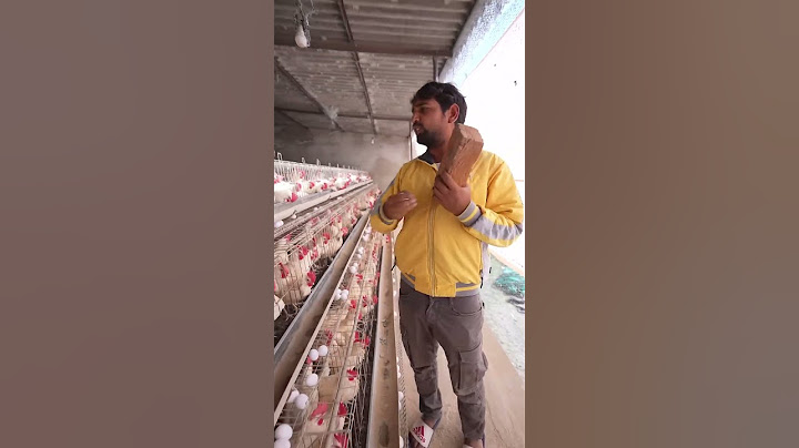 क्या एक अंडा ईंट को तोड़ सकता है ?...Egg Vs Brick 🥚