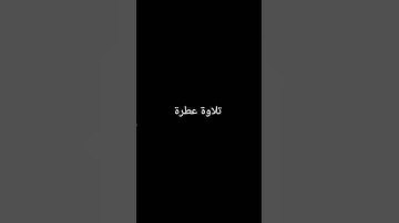 تلاوة عطرة #القرآن_الكريم #راحة_نفسية #صلوا_على_النبي #تلاوات