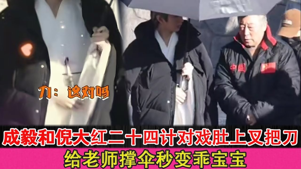 Двадцать четыре стратегии Чэн И и Ни Дахуна