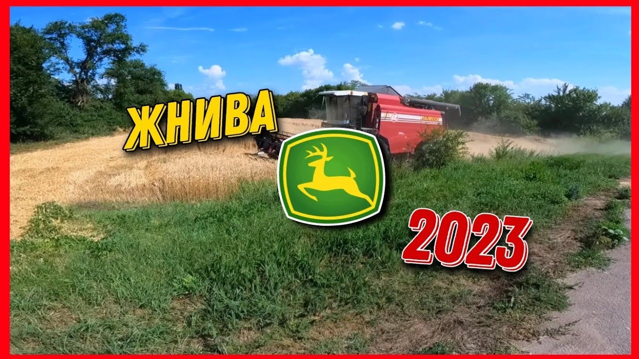 КОСИМ ПШЕНИЦУ НА НИВЕ И СРАЗУ ДИСКУЕМ ЧТО С ЛУЩИЛЬНИКОМ? ЖНИВА 2023 ...
