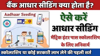 स्कॉलरशिप या सरकारी लाभ की पहली शर्त: aadhar seeding kya hai| Bank Account Aadhar seeding kaise kare screenshot 2
