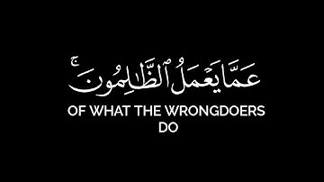 ولا تحسبن الله غافلا عما يعمل الظالمون | أنس المالك قرآن شاشة سوداء بدون حقوق سورة إبراهيم