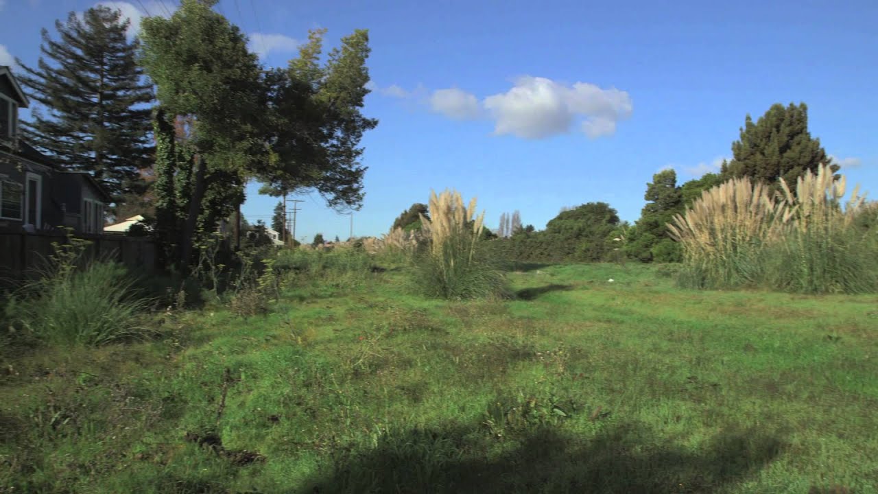 Jean Sweeney Open Space ParkAlameda Beltline YouTube