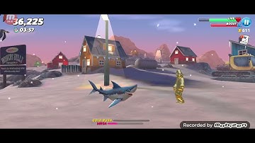 Hungry Shark gameplay #17 (We Having Human Tonight)