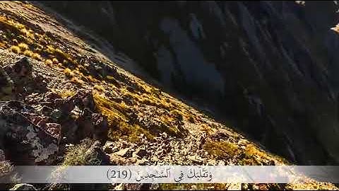وتوكل على العزيز الرحيم الذي يراك حين تقوم وتقلبك في الساجدين - تلاوة جميلة