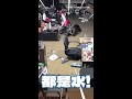 【歐告好勇敢】家中大淹水　牠自己找到椅子等待救援QQ #Shorts