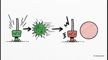 The T-Reg Revolution: How Regulatory T Cells Are Hacking the Immune System