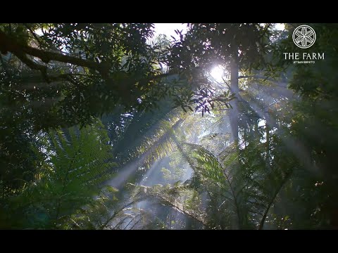 Medical Travel U0026 Wellness Tourism Campaign | DOT PH, TPB PH, The Farm At San Benito