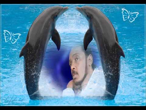 محمود عبد العزيز ازكري ايام صفانا