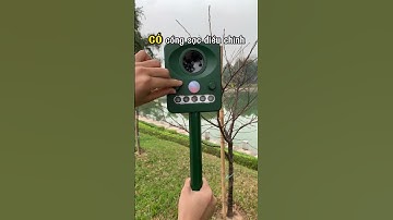 Máy đuổi chuột bằng sóng âm có thực sự tốt? #ambvietnam #mayduoichuot #meohay