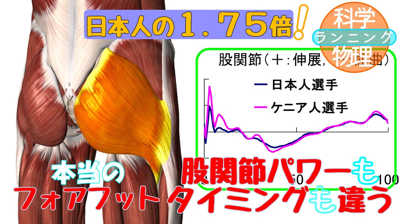 第4回　ケニアランナーのフォアフット走法は股関節の力が違い過ぎる。
