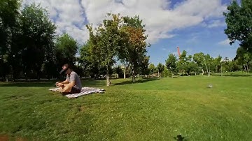 Walk in the park - Tinyhawk 2 Freestyle Insta360 Go
