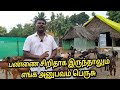 சிறிய ஆட்டுபண்ணைதான் அனுபவம் பெருசு @Mini goat farm