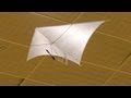 Slow Flight 20111009 SSFC　ひねもすのたり