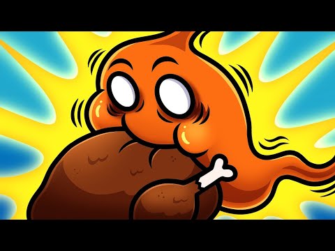 Why Are We Always So Hungry? || How to stop feeling hungry all the time! #hindi #shorts