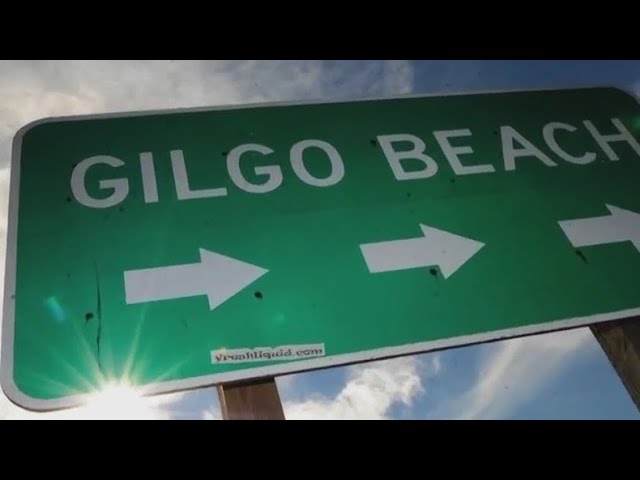 Crime Nation To Delve Into Gilgo Beach Murders