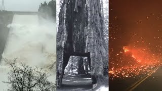 2017: A look back at ABC7 News' most popular stories