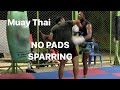 Muay Thai Sparring NO PADS 3