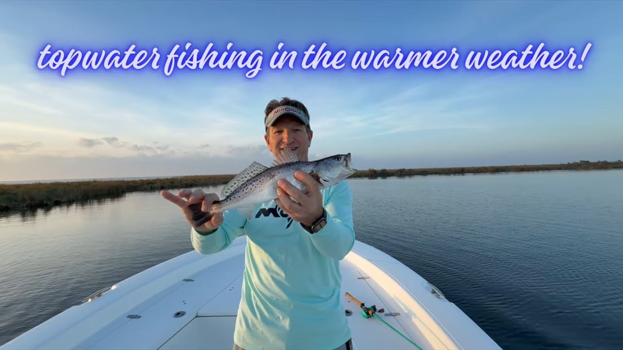 Ловля рыбы на поверхностные приманки в теплую погоду!