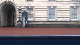 Buckingham Palace Guard by cornholio 135 views 12 years ago 1 minute, 2 seconds