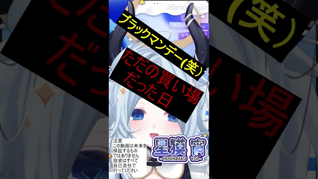 実は毎日押し目である（長期投資) #新人Vtuber#株クラ#キオクシア #Vtuber