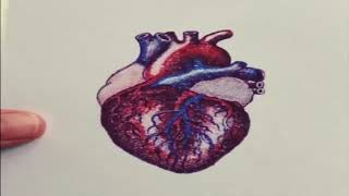 Top 10 Amazing Funny Science Videos 2020 Part 7