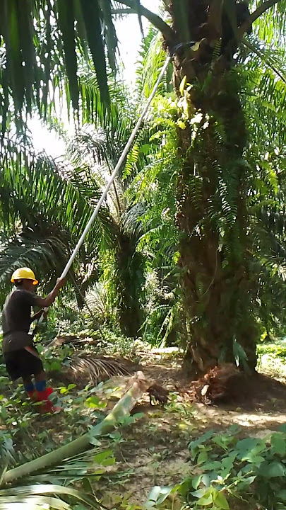 Pesan untuk pemalas #shortsvideo #motivasi #inspirasi