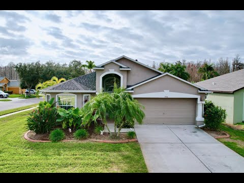 19336 Weedon Ct, Land O Lakes, FL home video tour