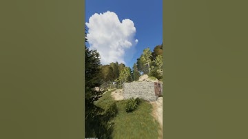 Admin Rust 🍷🗿 #rust #раст #admin #админ #shorts