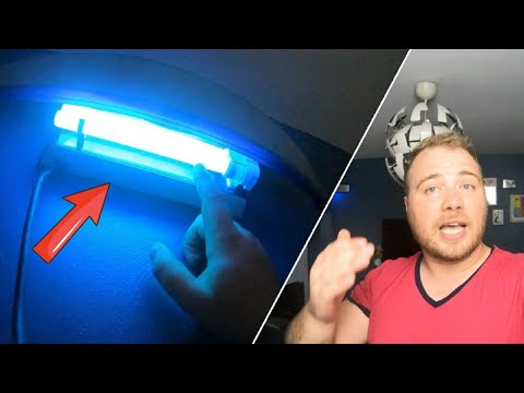 Piège UV anti-mouches installé chez moi : le résultat en 1 heure