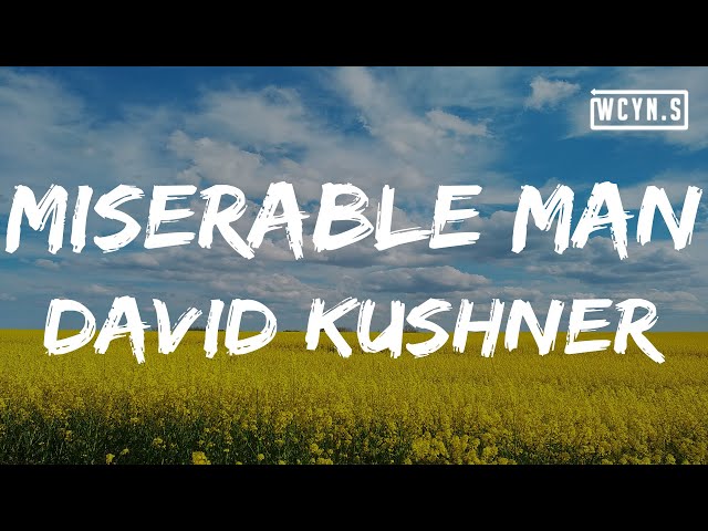 David Kushner - Miserable Man(Lyrics)#DavidKushner #MiserableMan
