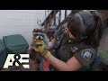 Live Rescue: Baby Raccoon Reunited With Mother (S3) | A&E